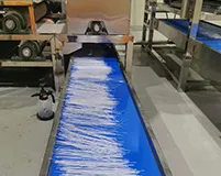 方便粉丝为何能成为网红食品?方便粉丝生产线工艺流程是什么?