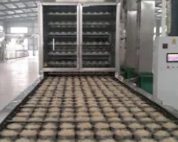 河南自熟粉丝机厂家哪家好?自熟粉丝机多少钱一台?